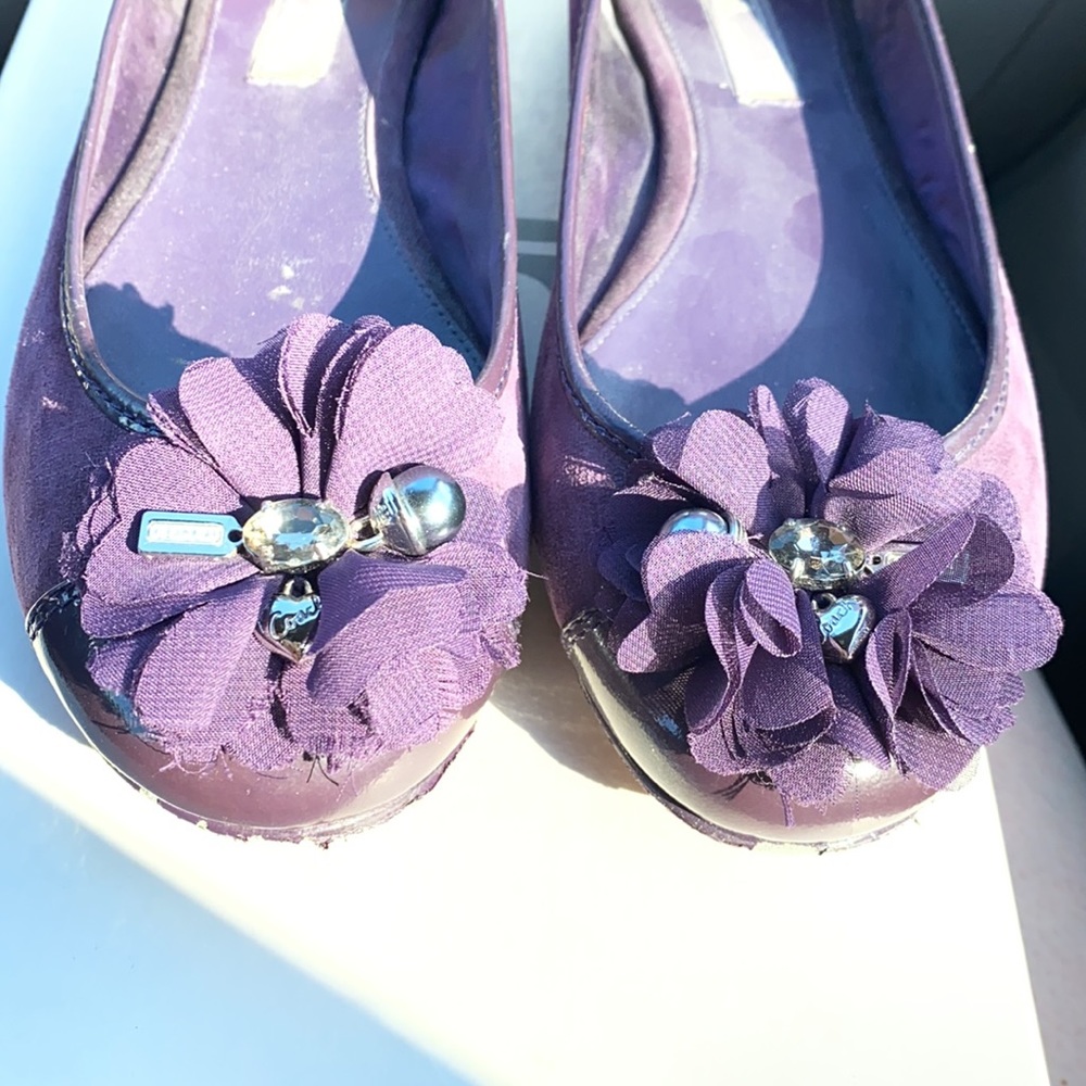 Coach flats - Picture 8 of 8